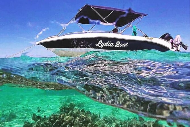 Lydia Boat Mauritius :Private boat tour:Whales&Dolphins encounter - Six things to know before you book