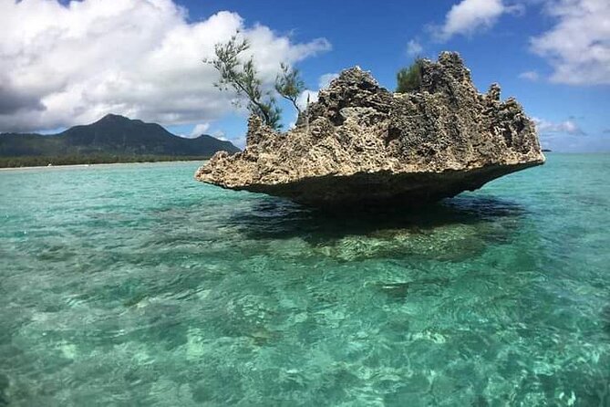 Lydia Boat Mauritius :Private boat tour:Whales&Dolphins encounter - What the 225.93 dollar price buys you