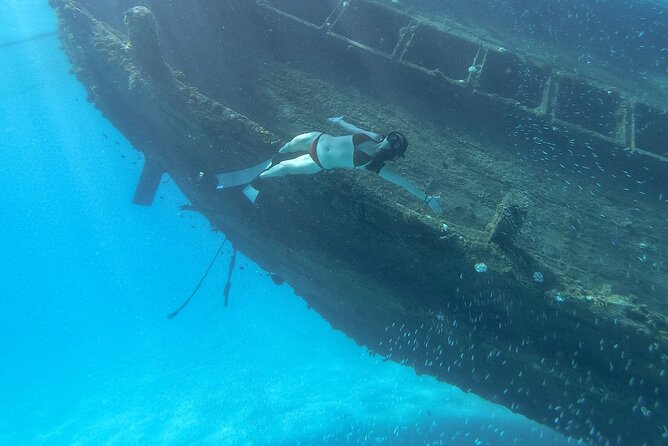 Maafushi: Ship wreck & Nurse shark snorkeling with Dolphin watching - Who Will Enjoy This Trip Most?