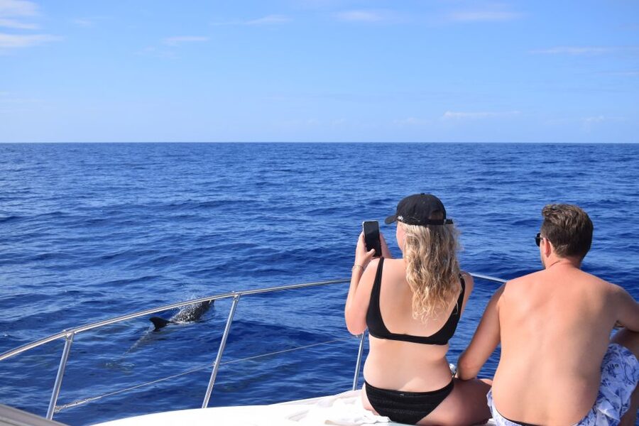 Madeira: 2.5-Hour Whale and Dolphin-Watching Cruise - Who will enjoy this cruise most
