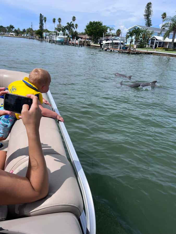 Madeira Beach: 1.5 Hour Dolphin Excursion - Comfort, Shade, and What to Bring