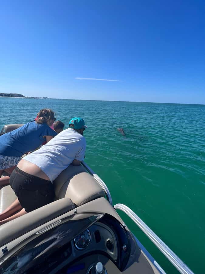 Madeira Beach: 1.5 Hour Dolphin Excursion - Captain Ryan’s Personal Touch