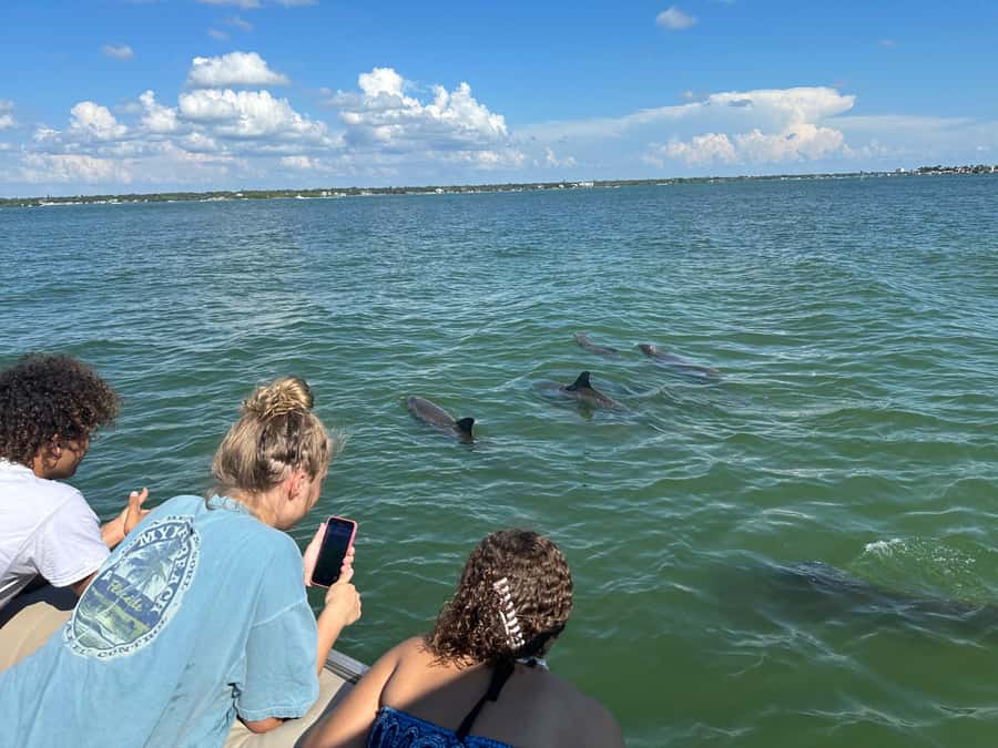 Madeira Beach: 1.5 Hour Dolphin Excursion - Who Should Book This Private Boat Trip