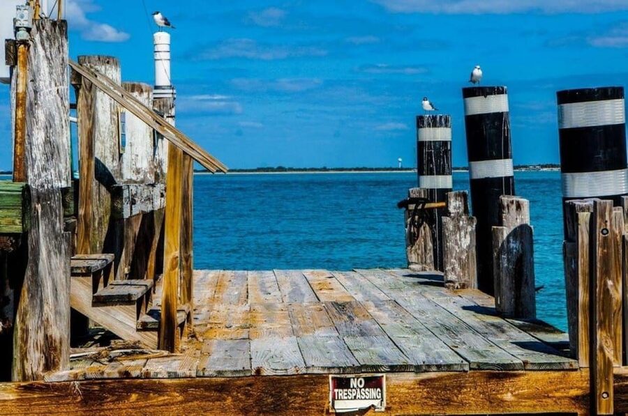 Madeira Beach: Egmont Key Snorkeling and Dolphin Cruise - Who will enjoy this cruise most