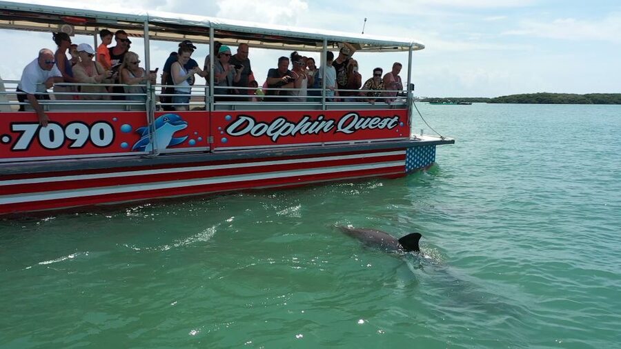Madeira Beach: Guided Dolphin Watching Eco-Friendly Cruise - Setting out from Johns Pass
