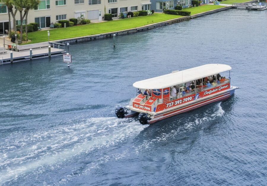 Madeira Beach: Guided Dolphin Watching Eco-Friendly Cruise - Boca Ciega Bay beyond the wildlife