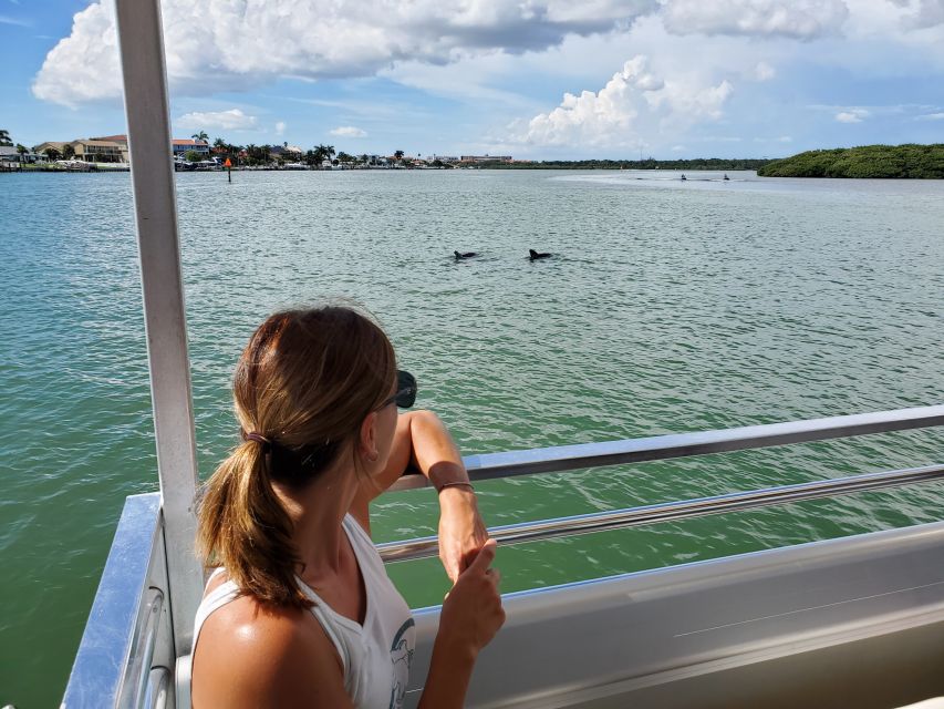 Madeira Beach: Guided Dolphin Watching Eco-Friendly Cruise - Weather, timing, and the real-world limits