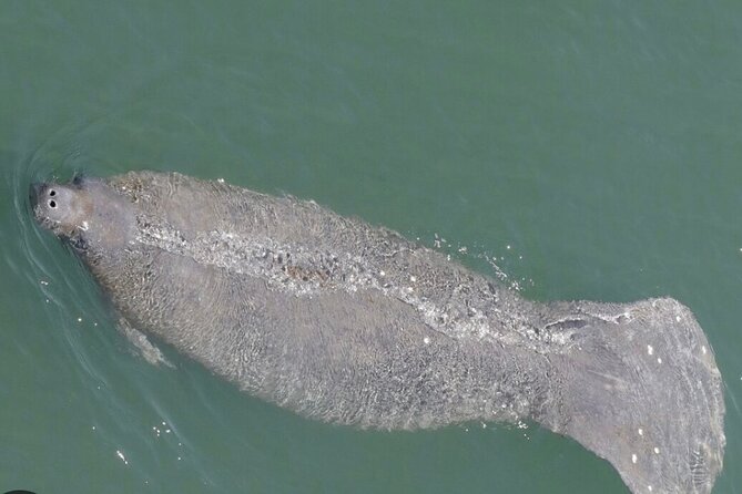 Madeira Beach - Shell Key - Dolphins - Half Day Private Boat Tour - Sandbars, picnic time, and waterfront scenery