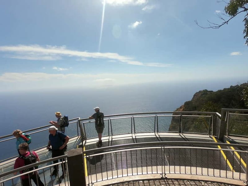 Madeira: Cabo Girão, Wines Experience and Dolphins Watching - Quinta do Barbusano is the strongest stop for wine lovers