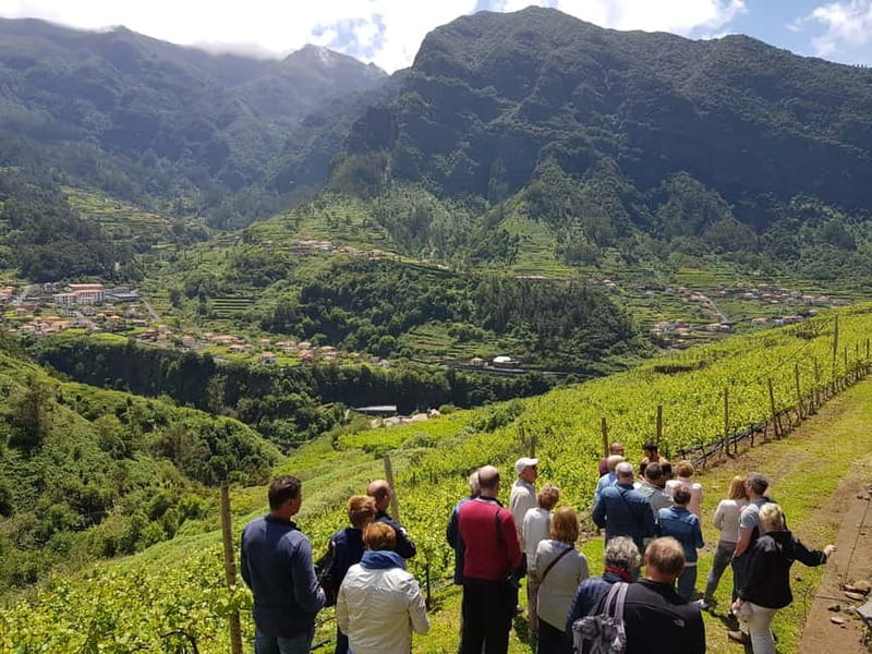 Madeira: Cabo Girão, Wines Experience and Dolphins Watching - My verdict on this Madeira day tour