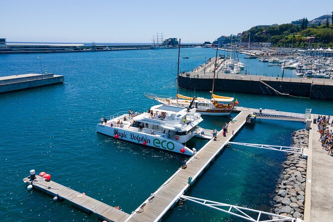 Madeira Dolphin and Whale Watching on a Ecological Catamaran - Guides, explanations, and the human side of the trip