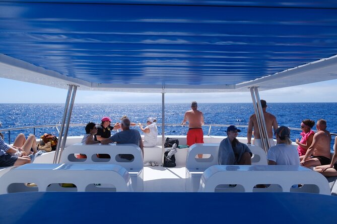 Madeira Dolphin and Whale Watching on a Ecological Catamaran - Sea conditions, clothing, and comfort