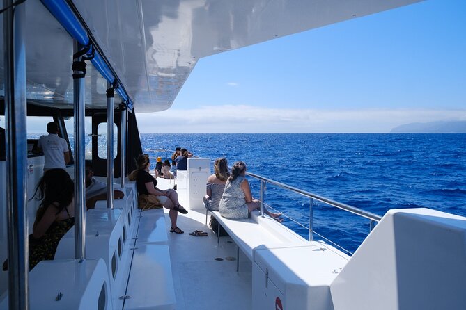Madeira Dolphin and Whale Watching on a Ecological Catamaran - Is $42.33 good value?