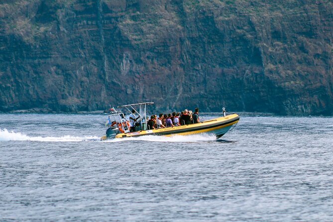 Madeira Dolphin & Whale Watching Tour - Searching the open water for whales