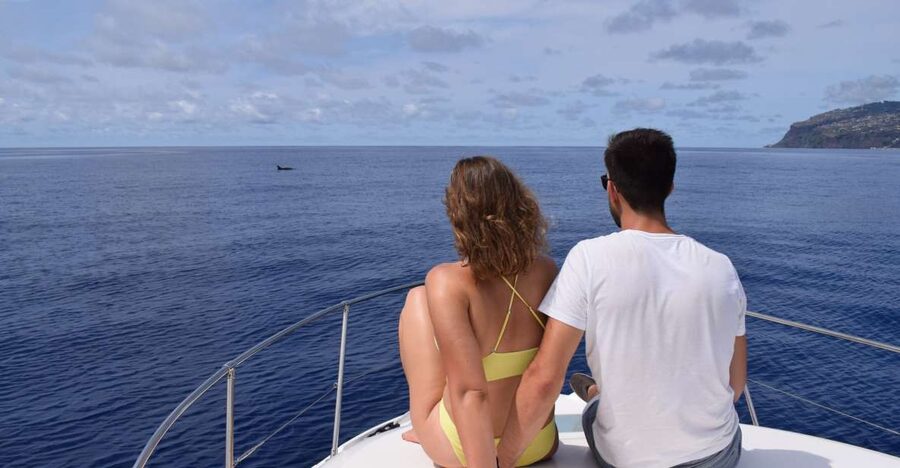 Madeira: Whale and Dolphin Watching Private Cruise - Watching whales and dolphins responsibly