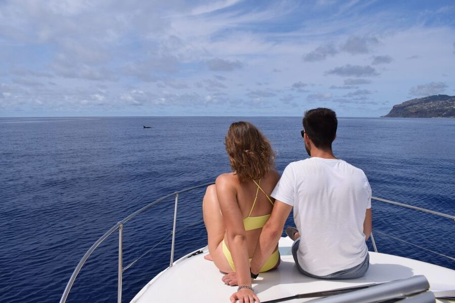 Madeira: Whale and Dolphin Watching Private Cruise - What the crew adds to the experience