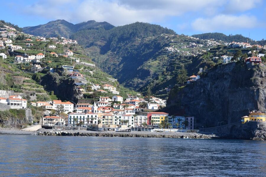 Madeira: Whale and Dolphin Watching Private Cruise - Is $577 a fair price?