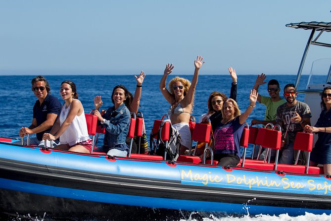 Magic Dolphin Sea Safaris - Leaving Funchal Marina on a rebuilt speedboat