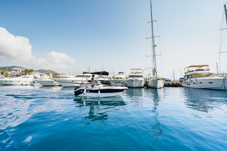 Malaga: License-free Boat Rental for Dolphin Watching - Dolphin watching with realistic expectations