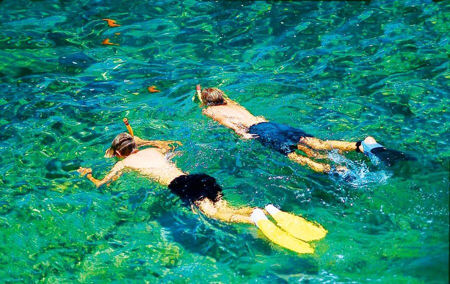 Mallorca: Dolphin Watching Cruise - Cancellation, Meeting Details, and Practical Limits