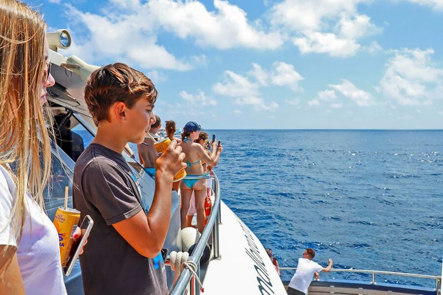 Mallorca: Dolphin Watching Cruise - Who Will Enjoy This Cruise Most