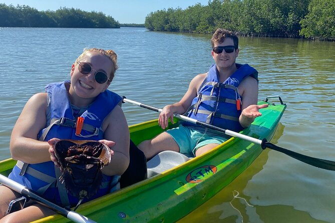 Manatee and Dolphin Kayak Tour - The guides shape the experience