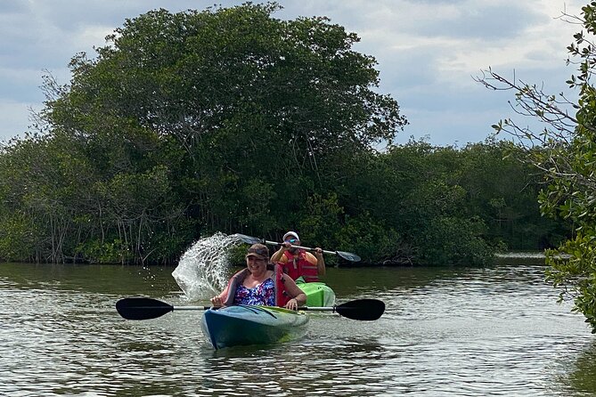 Manatee and Dolphin Kayak Tour - Is $50 a fair price?