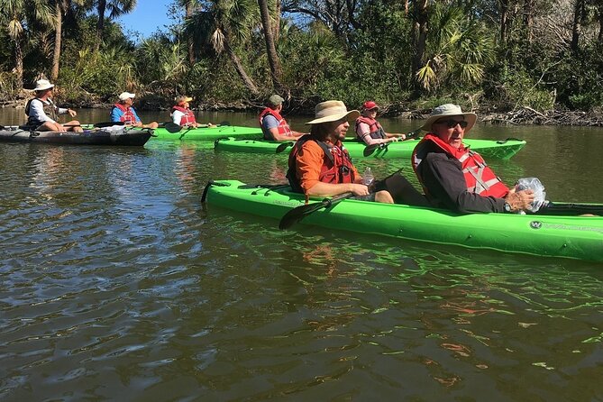 Manatee and Dolphin Kayaking Encounter - How the guides shape the morning