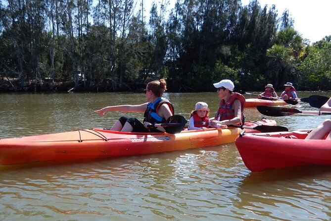 Manatee and Dolphin Kayaking Encounter - Kayak setup, clothing, and useful gear