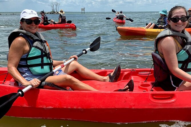 Manatee and Dolphin Kayaking Encounter - Is the experience worth the price?