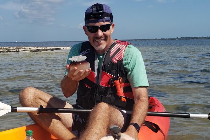 Manatee and Dolphin Kayaking | Wildlife Refuge (Titusville) - The guides make a real difference