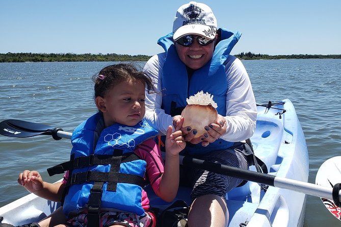 Manatee and Dolphin Kayaking | Wildlife Refuge (Titusville) - Is $60 a fair price?