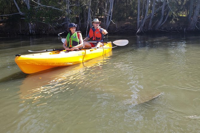 Manatee and Dolphin Kayaking | Wildlife Refuge (Titusville) - Manatees are the main draw