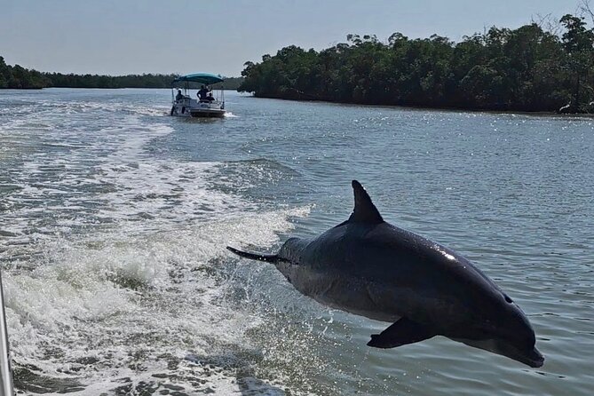 Manatee, Dolphin, and 10,000 Islands Eco Beach Tour by Boat - Key things to know before you book