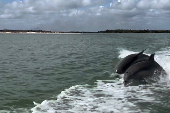 Manatee, Dolphin, and 10,000 Islands Eco Beach Tour by Boat - The 45-minute run to the Ten Thousand Islands