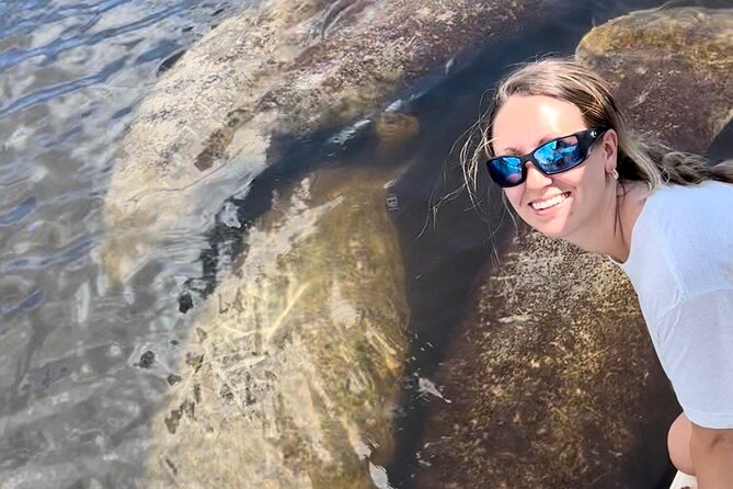 Manatee, Dolphin, and 10,000 Islands Eco Beach Tour by Boat - How much value do you get for $129.99?