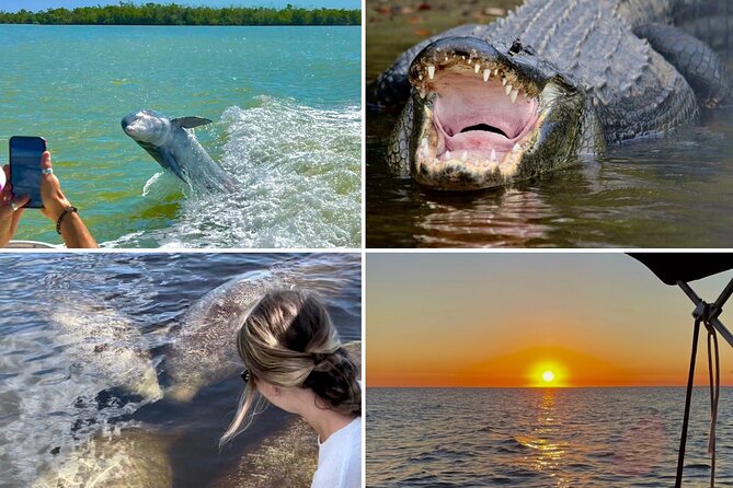 Manatee, Dolphin and 10,000 Islands Sunset Cruise! - Key points to know before booking