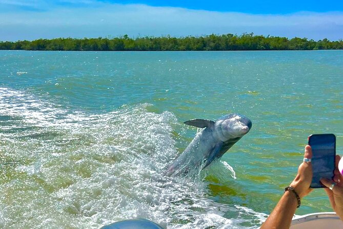 Manatee, Dolphin and 10,000 Islands Sunset Cruise! - Group size, comfort, and timing