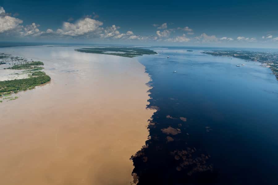 Manaus: Meeting of the Waters & Pink Dolphin Tour with Lunch - Key points at a glance