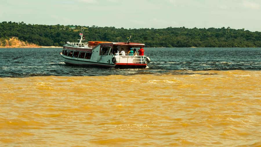 Manaus: Meeting of the Waters & Pink Dolphin Tour with Lunch - Canoeing through flood forest and narrow streams