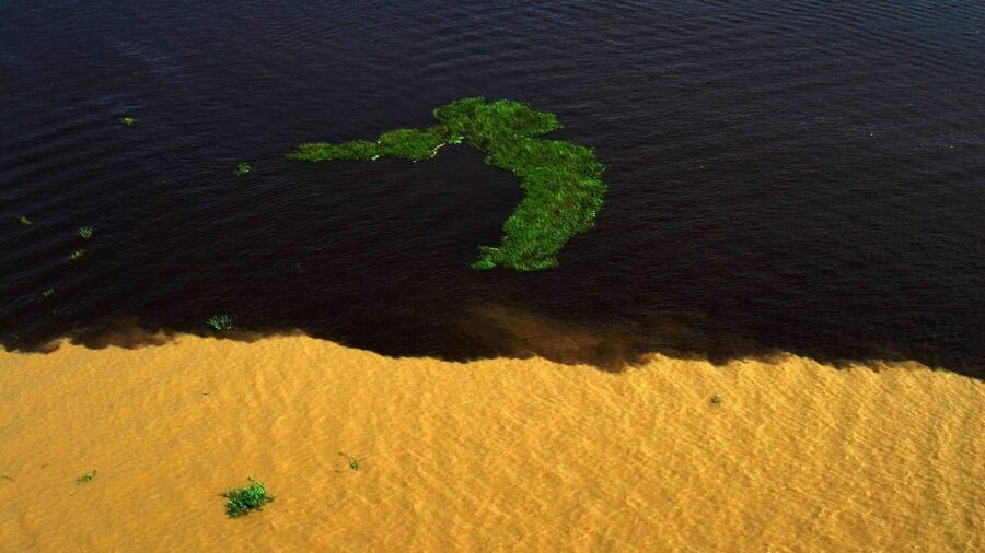 Manaus: Meeting of the Waters & Pink Dolphin Tour with Lunch - Who should book this experience?