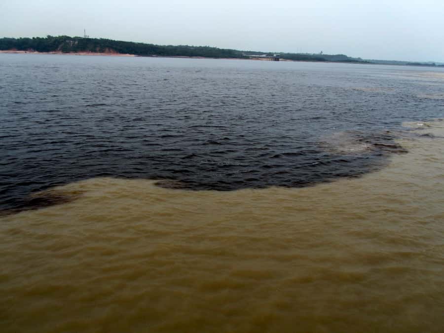 Manaus: Meeting of the Waters & Pink Dolphin Tour with Lunch - Crossing the Rio Negro toward the Meeting of the Waters