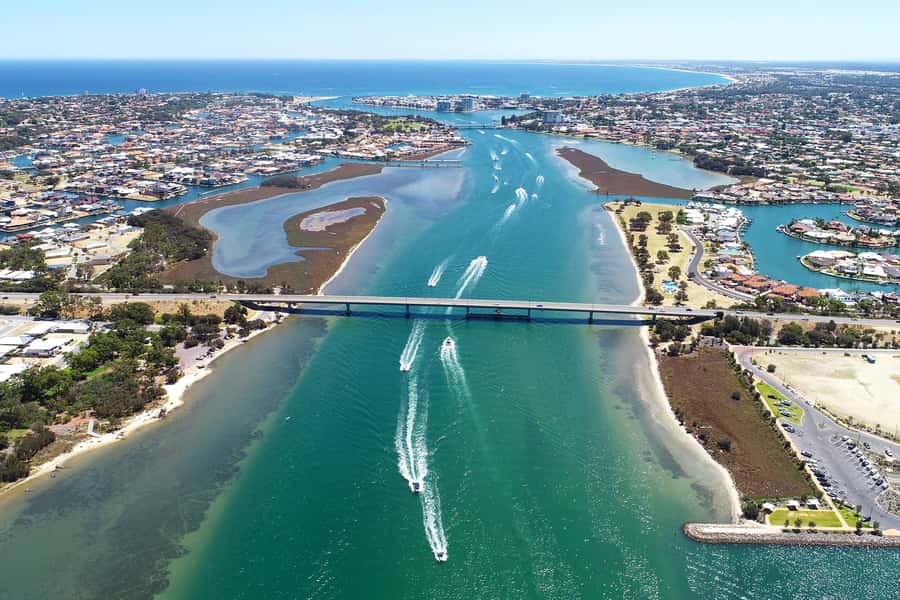 Mandurah: Dolphin and Views Cruise - Birdlife and wetlands beyond the dolphins