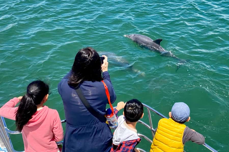 Mandurah: Dolphin and Views Cruise - Why children tend to enjoy this cruise