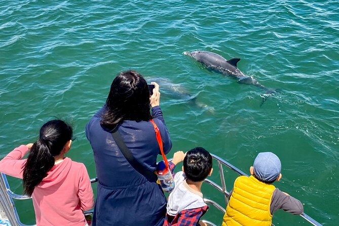 Mandurah Dolphin Cruise and Views - What the commentary adds to the ride