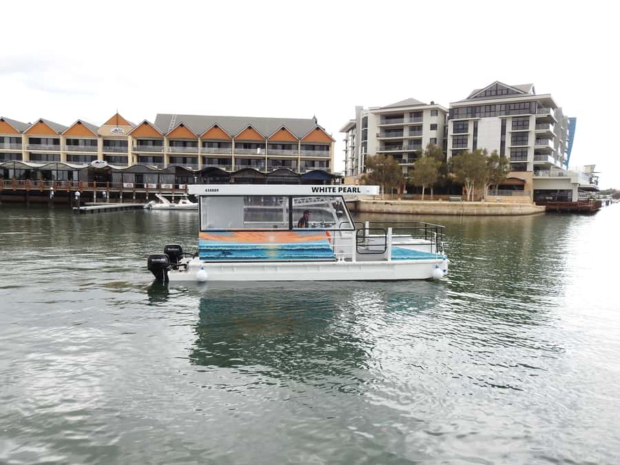 Mandurah: Sightseeing Dolphin Cruise with Tour Guide - Key Points Before You Book