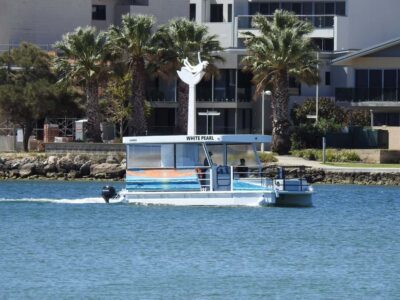 Sightseeing Dolphin Cruise with Tour Guide