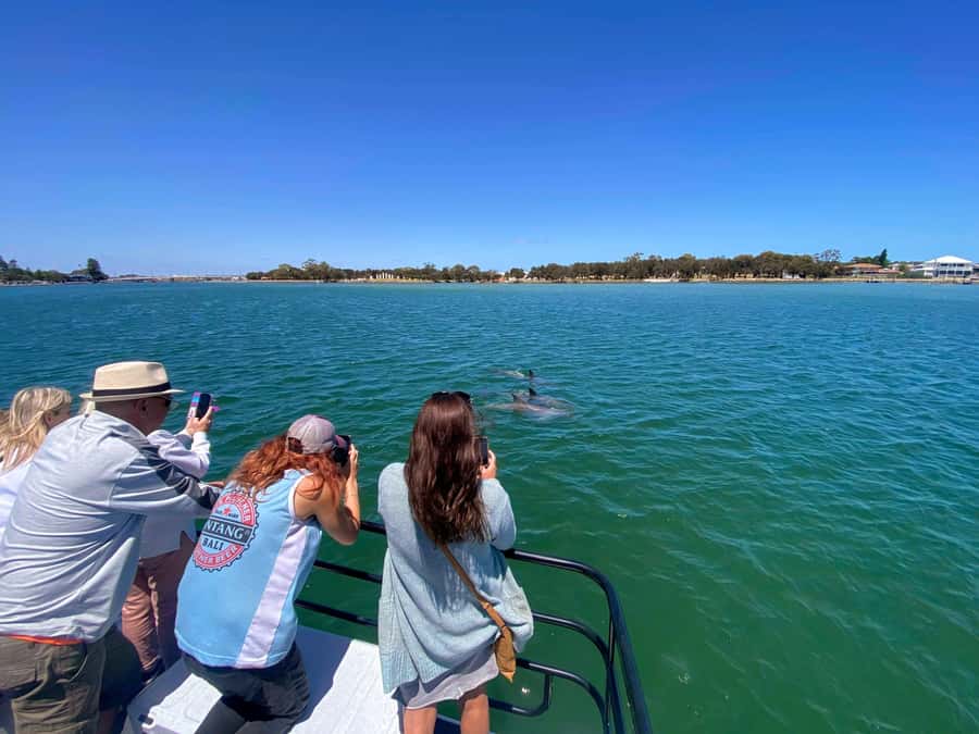 Mandurah: Sightseeing Dolphin Cruise with Tour Guide - Creery Wetlands and Boundary Island