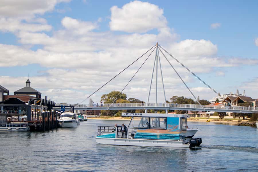 Mandurah: Sightseeing Dolphin Cruise with Tour Guide - Is the $26 Price Good Value?