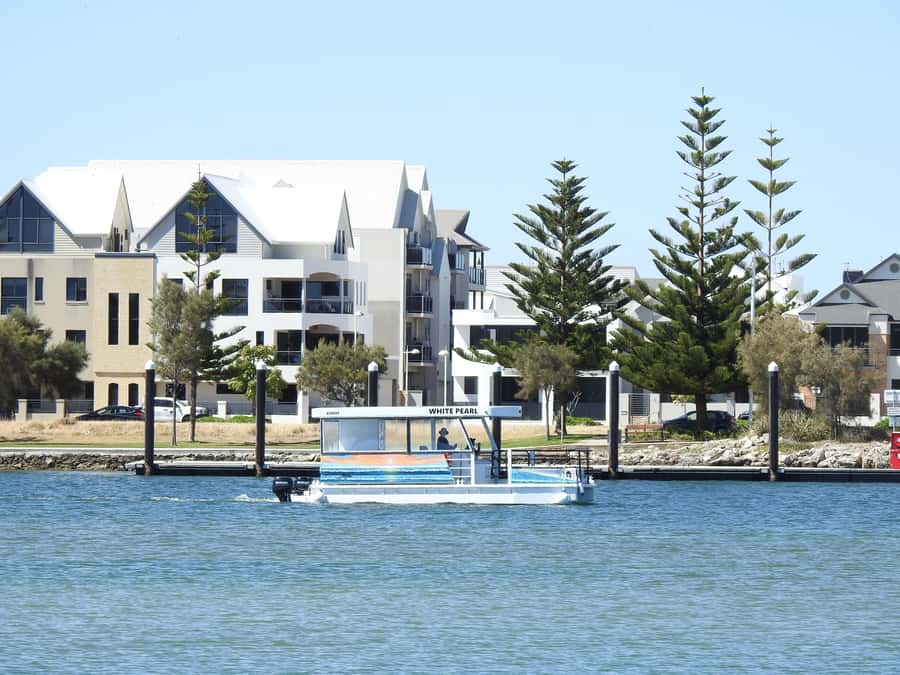 Mandurah: Sightseeing Dolphin Cruise with Tour Guide - Comfort, Access, and What to Bring